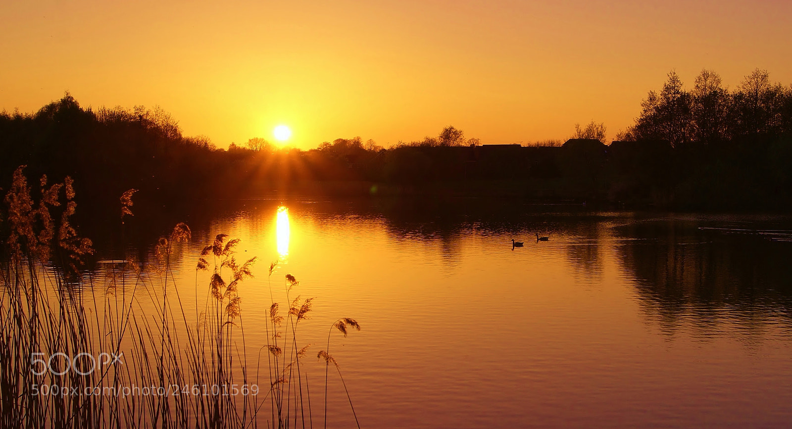 Sony Alpha DSLR-A380 sample photo. Always on my mind ... photography
