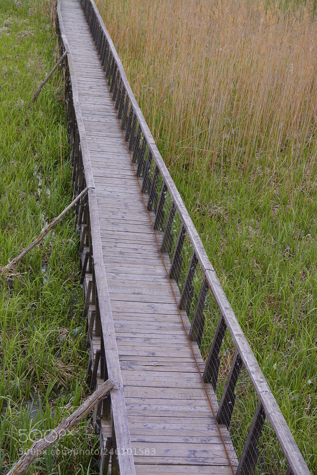 Nikon D7100 sample photo. Wooden bridge photography