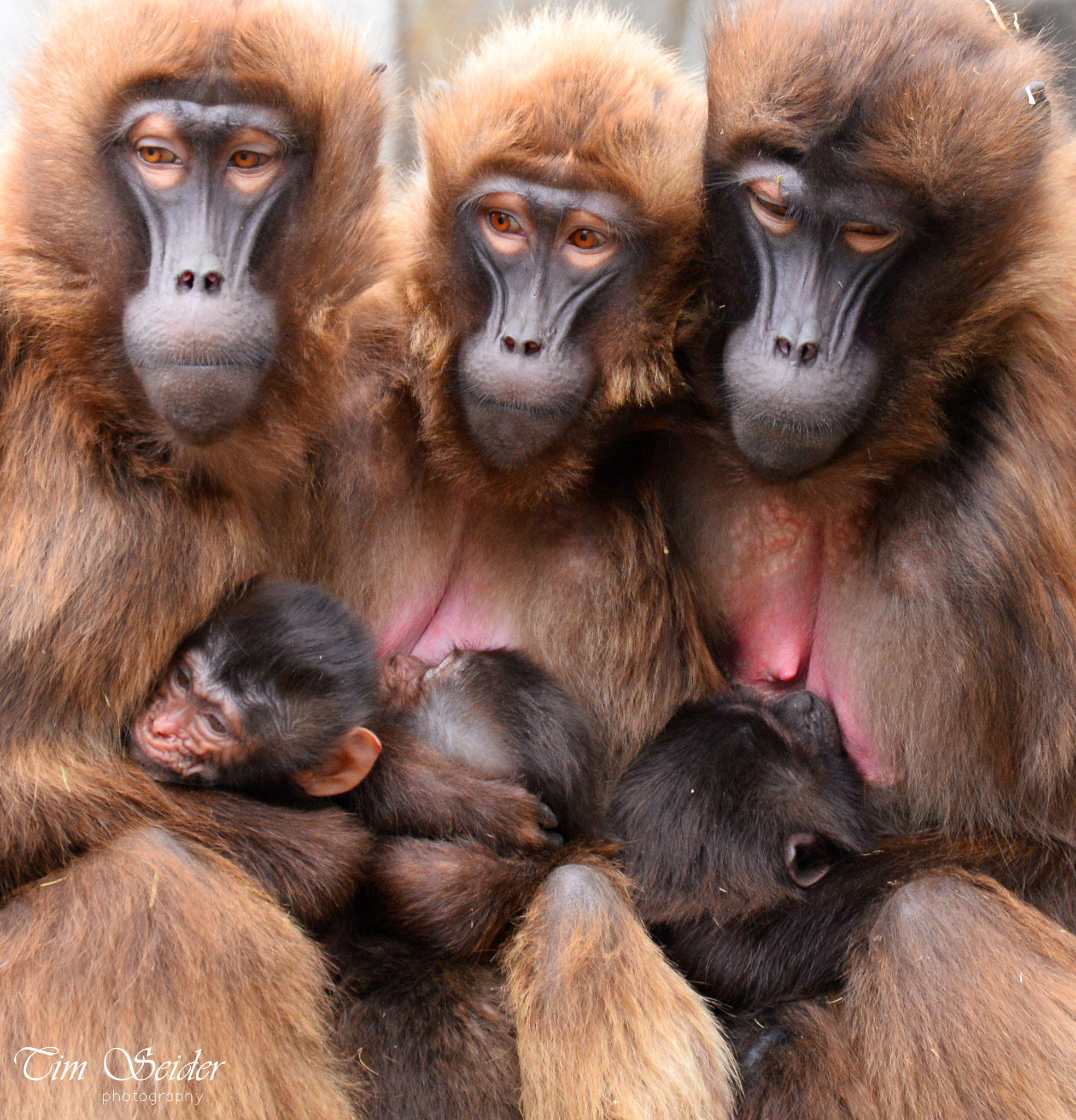 Nikon D610 sample photo. Mother‘s love photography