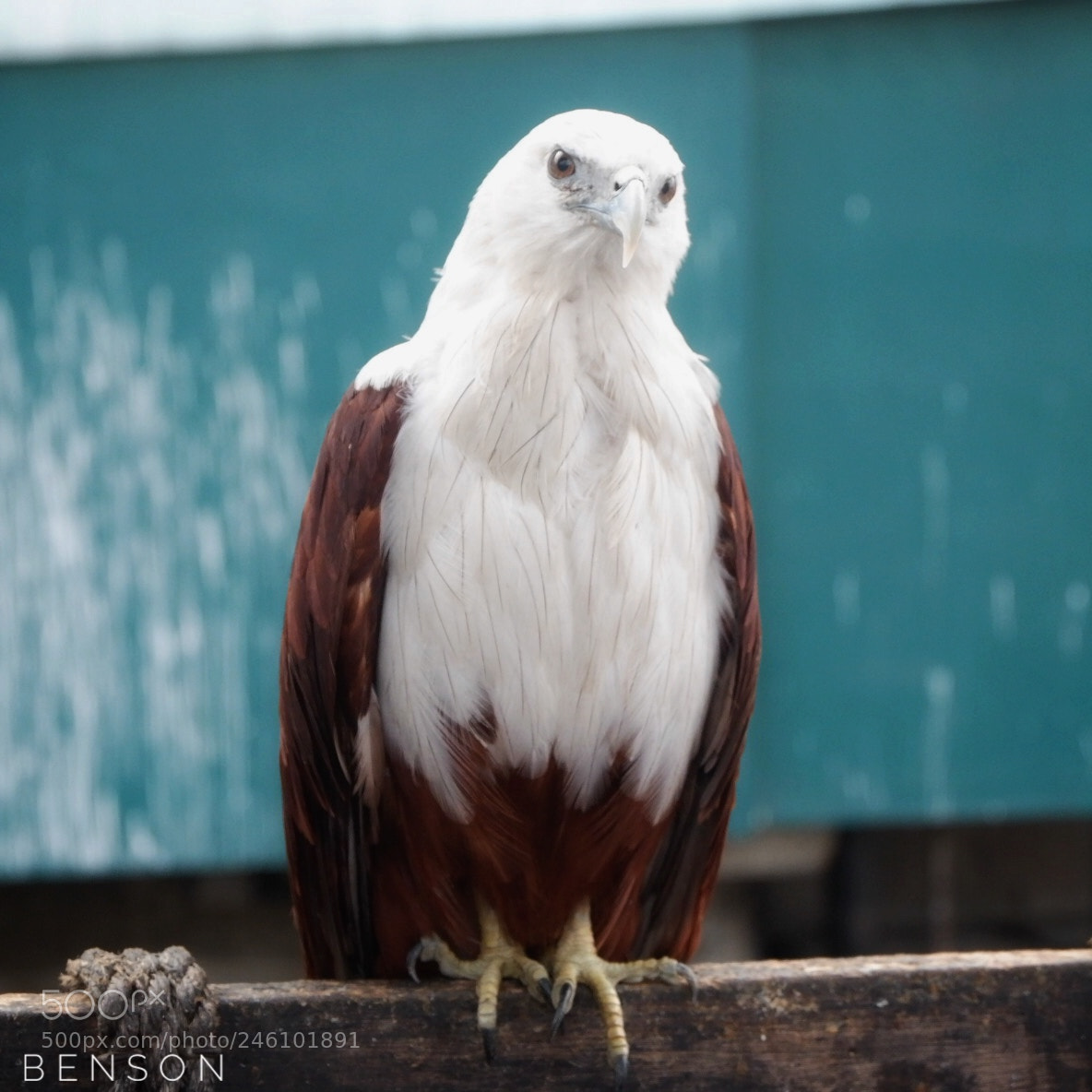 Fujifilm X-A10 sample photo. Frown #fujifilmxa10 photography