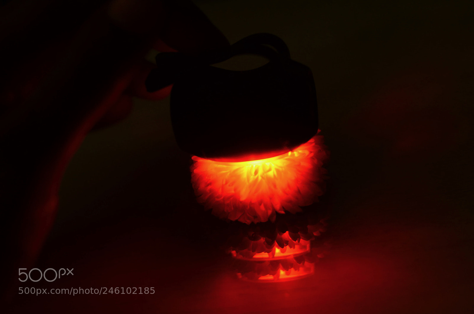 Nikon D5100 sample photo. Guess photography
