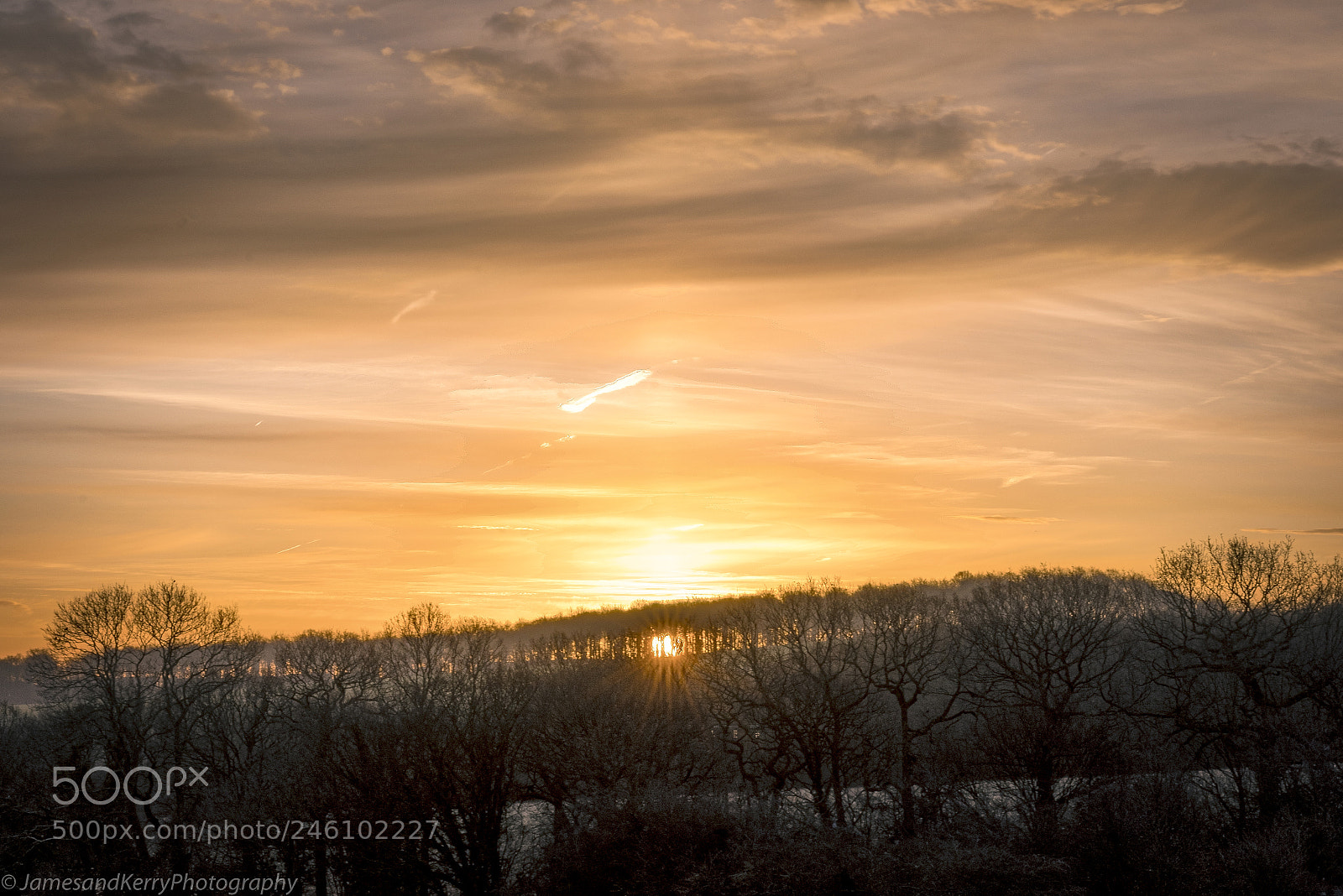 Sony a7R III sample photo. Sunrise through the trees photography