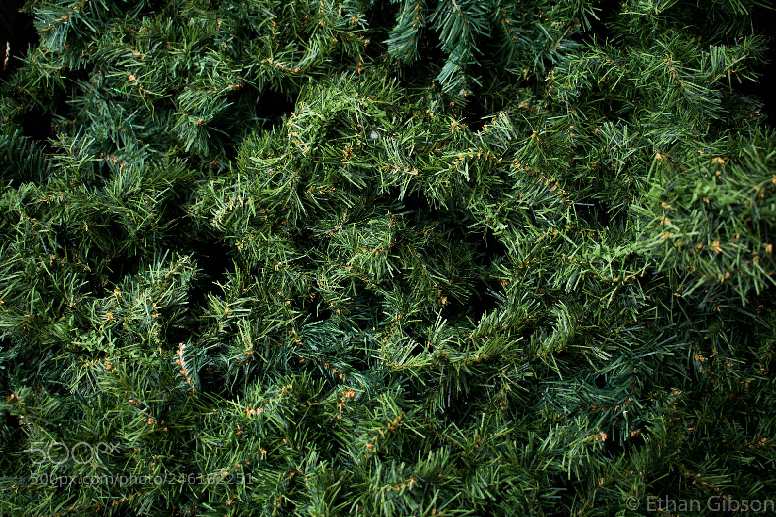 Nikon D3400 sample photo. Fake plants photography