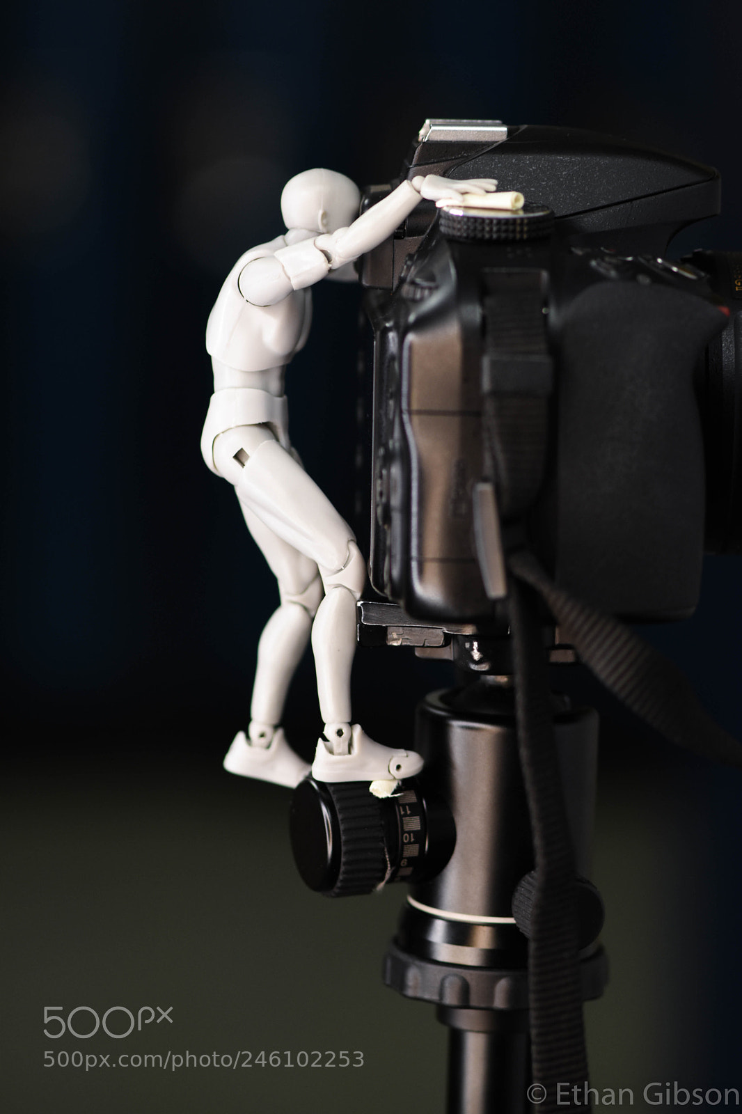 Nikon D3400 sample photo. Little man big camera photography