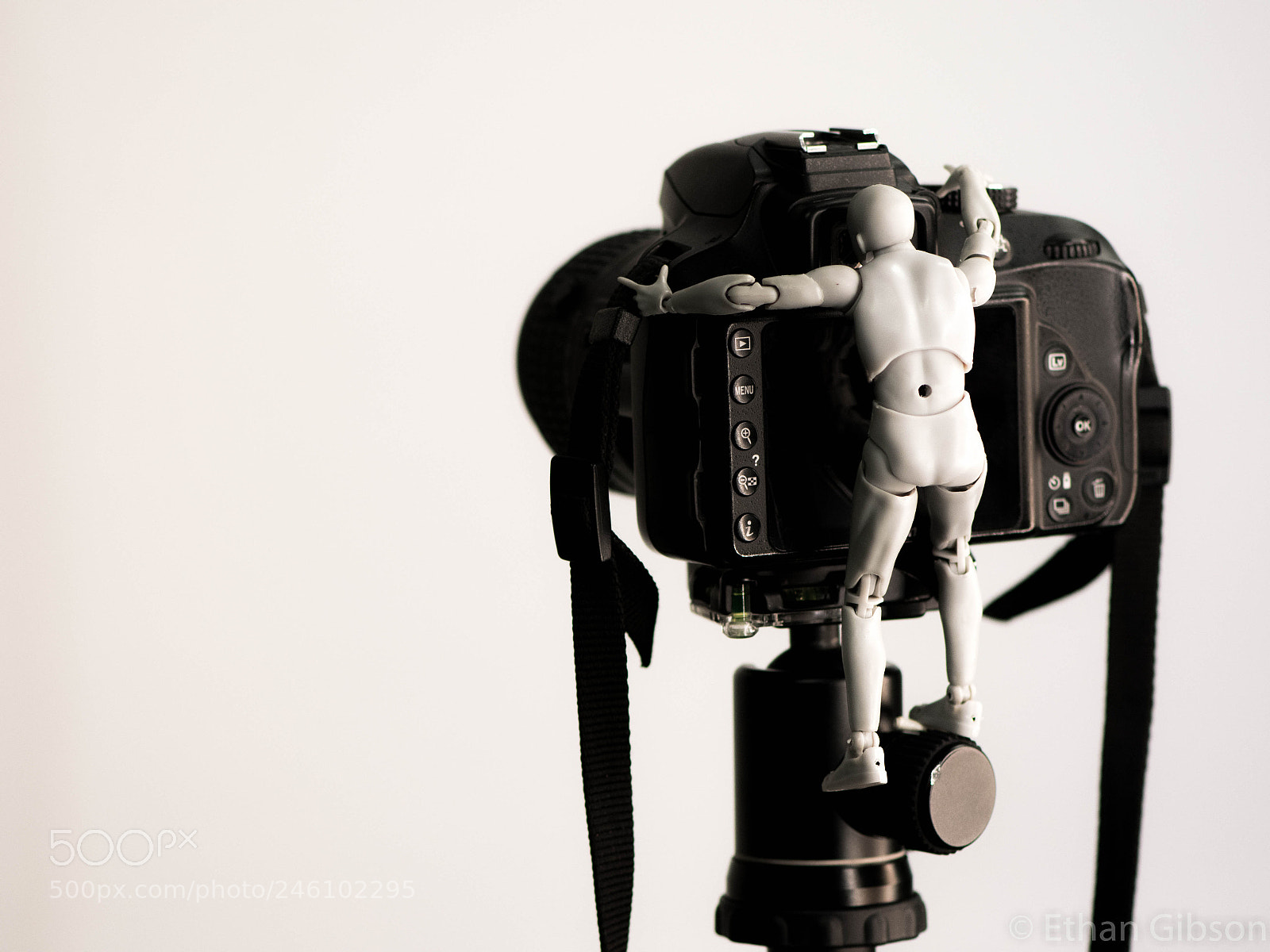 Nikon D3400 sample photo. Little man big camera photography