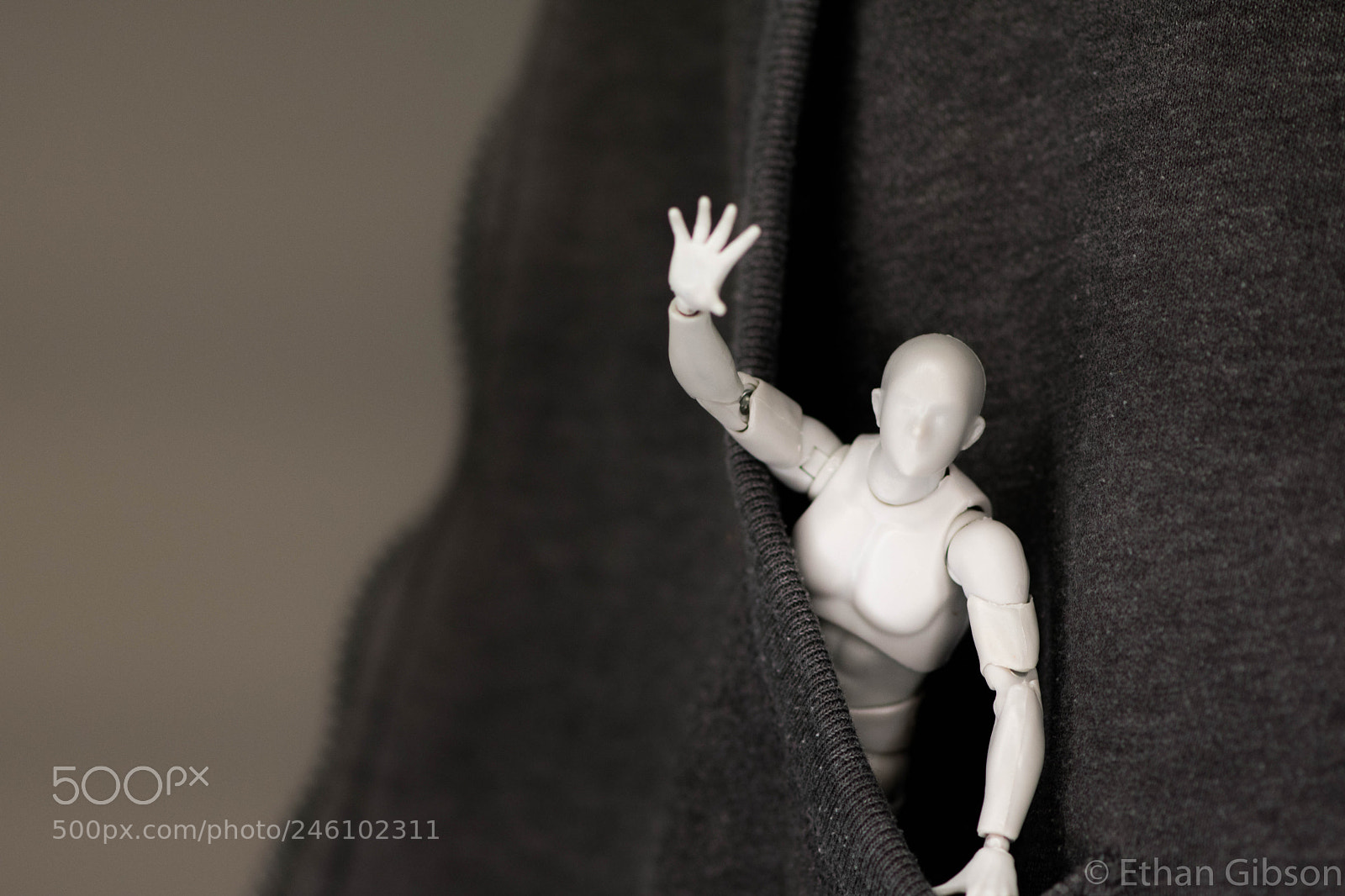 Nikon D3400 sample photo. I'm free!!! photography