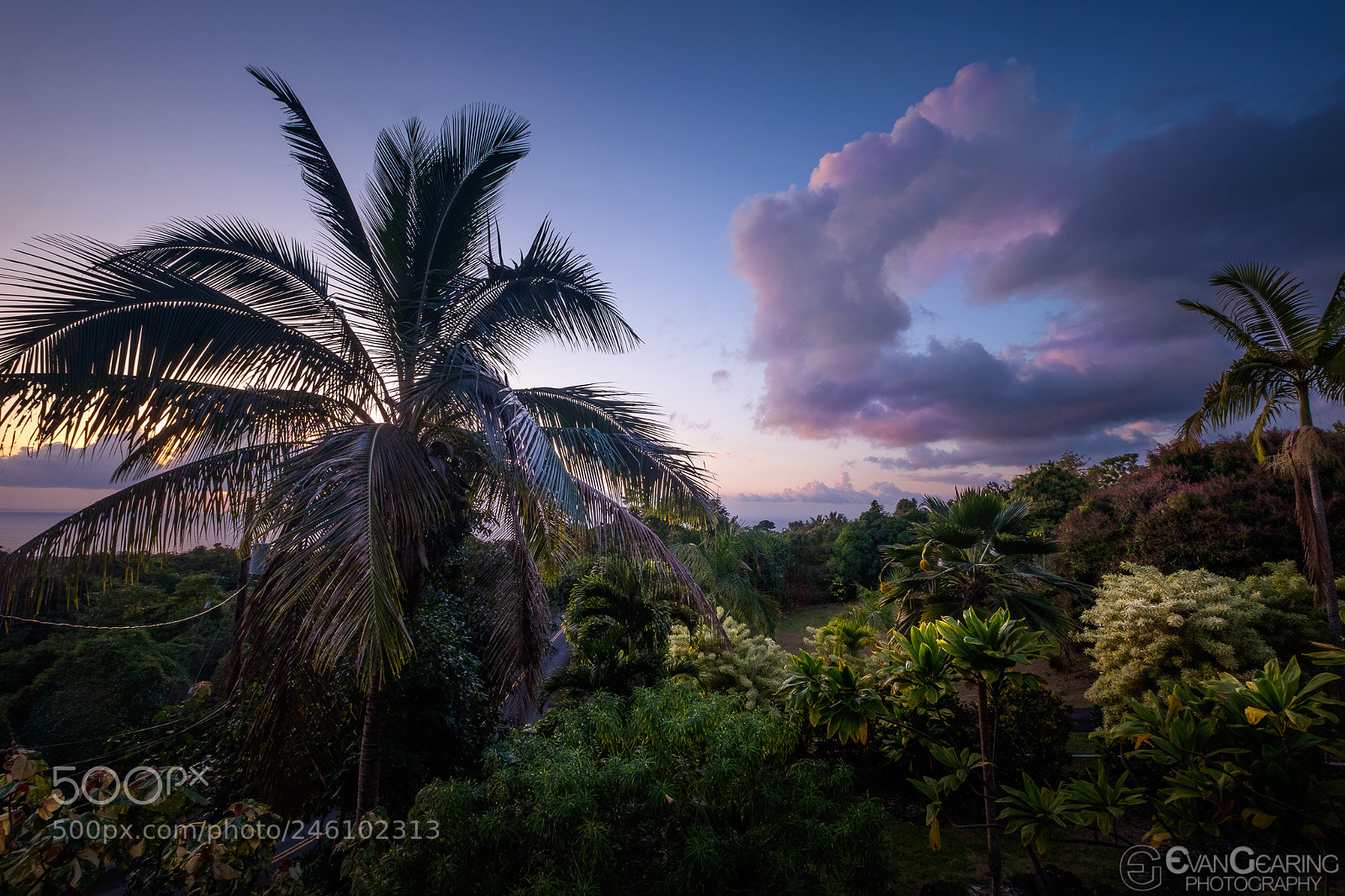 Fujifilm X-T1 sample photo. Captain cook, hawaii sunset 01 photography