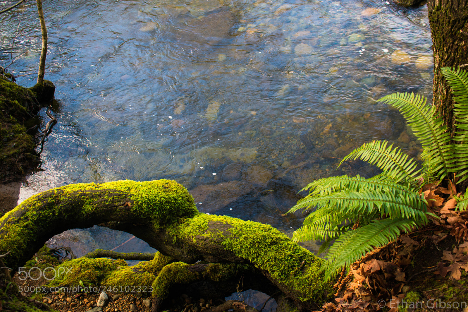 Nikon D3400 sample photo. Riverside photography