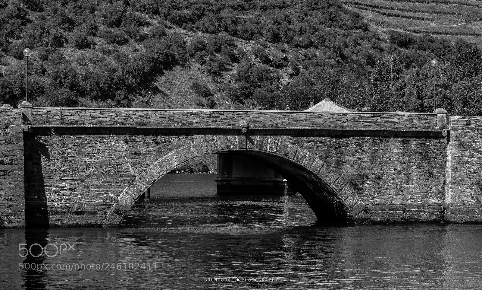 Nikon D5200 sample photo. Ponte em peso da photography