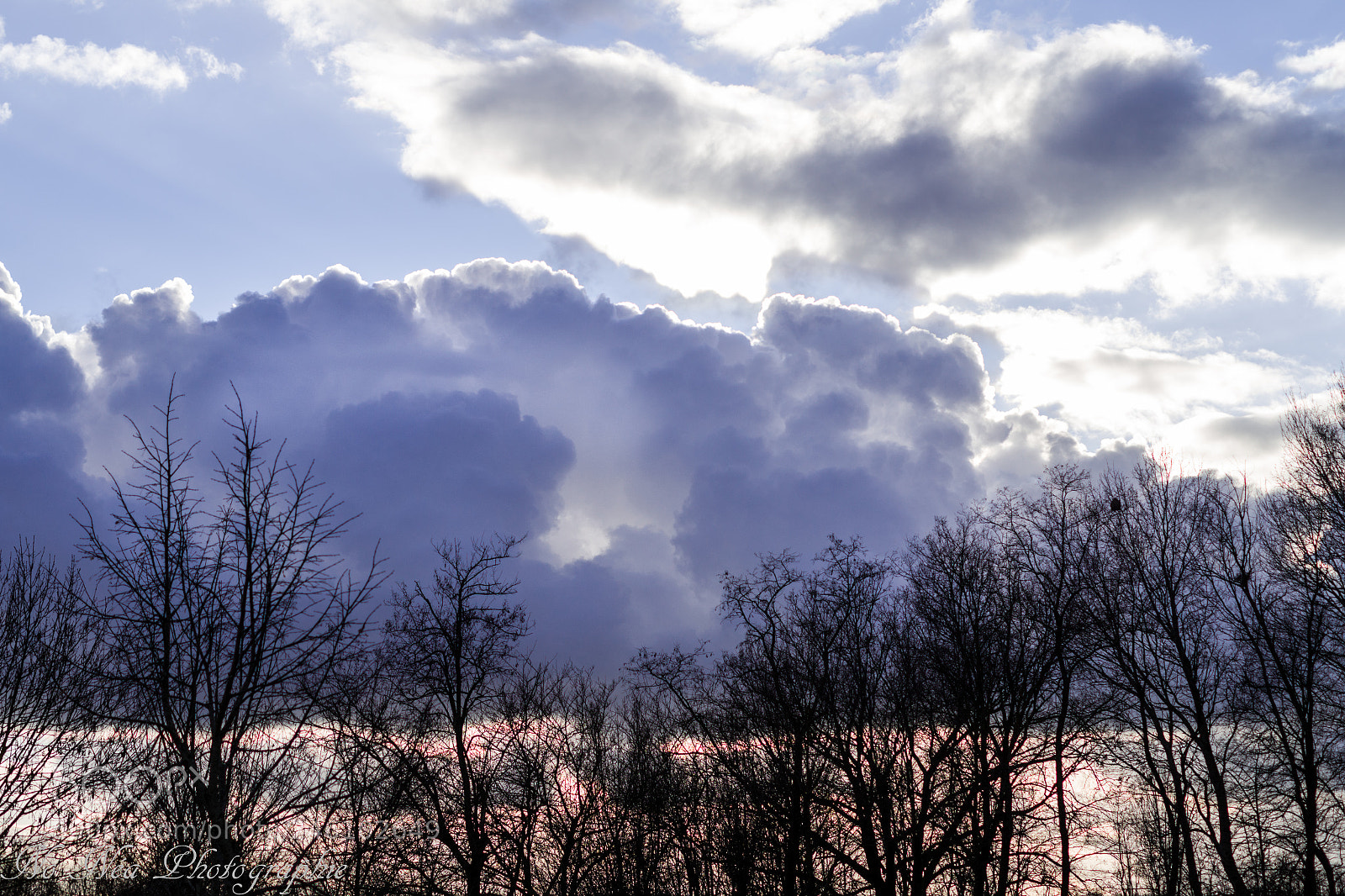 Pentax K-S2 sample photo. Nature photography