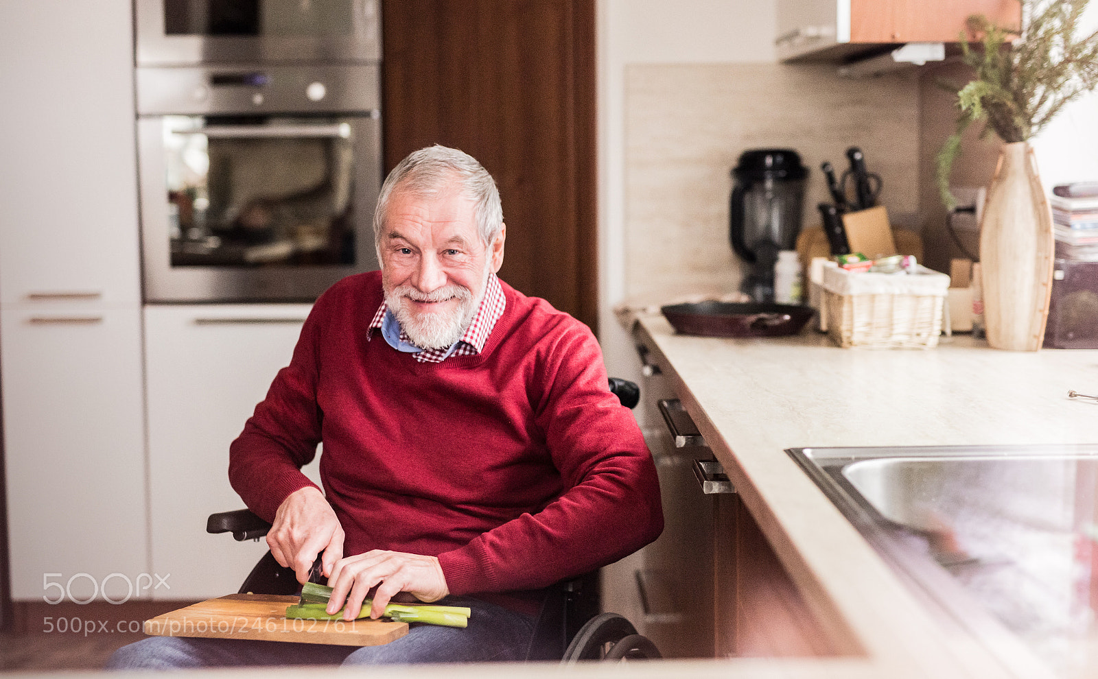Nikon D5 sample photo. Senior man in wheelchair photography