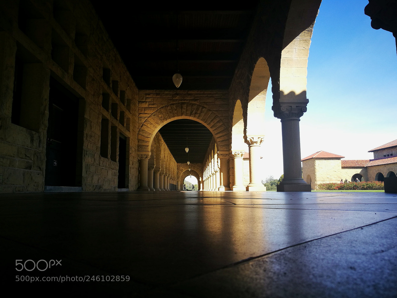 HUAWEI P9 Plus sample photo. Stanford photography