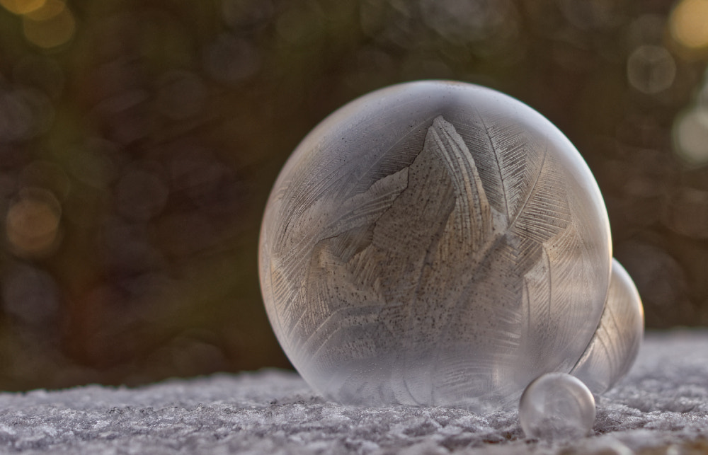 Sony SLT-A68 sample photo. Frozen bubble photography