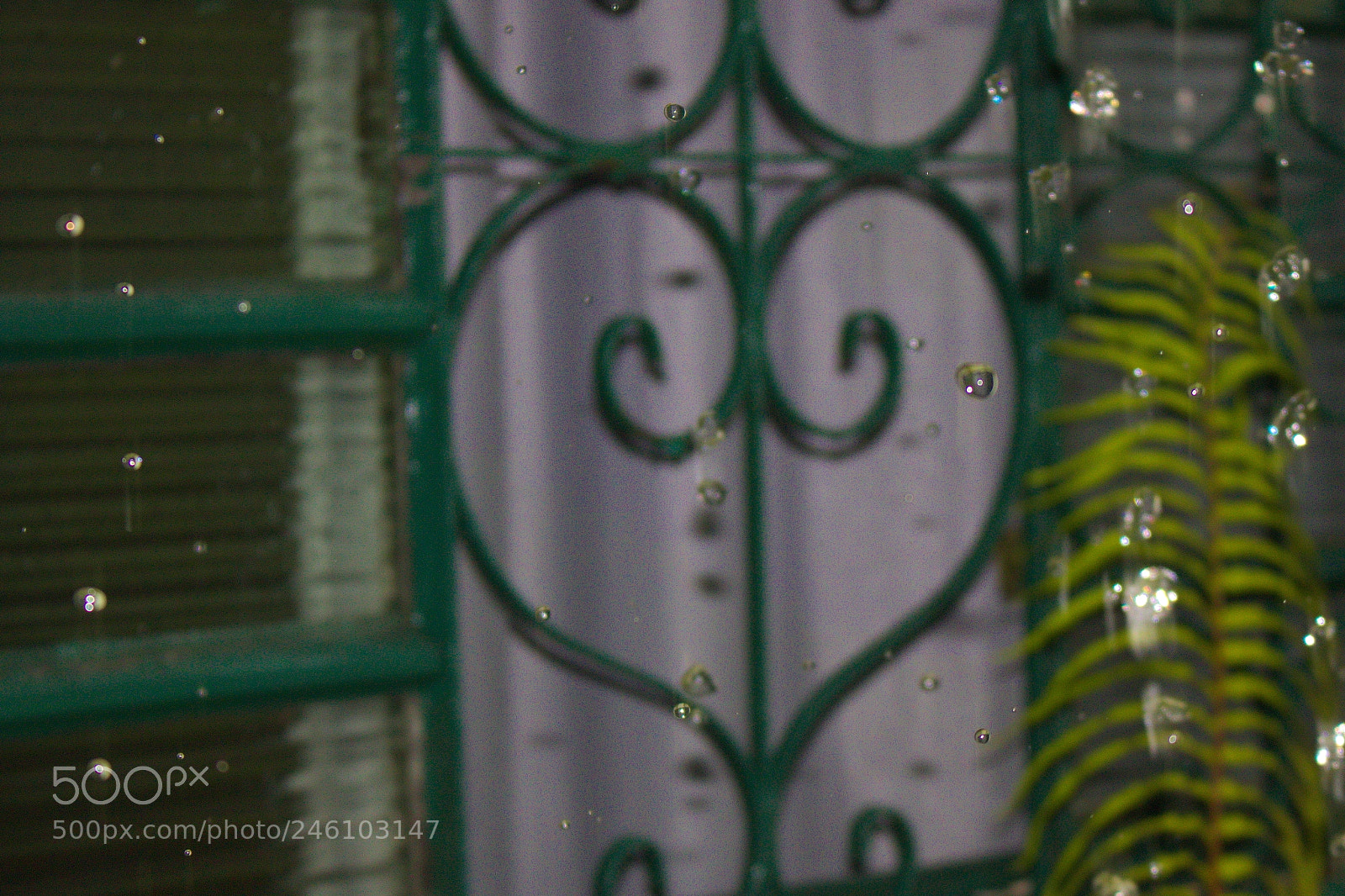 Canon EOS 750D (EOS Rebel T6i / EOS Kiss X8i) sample photo. A chuva, a janela photography