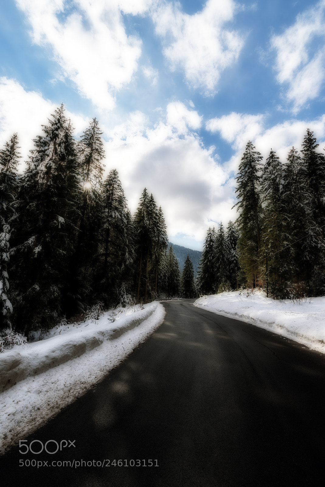 Nikon D610 sample photo. Softness road photography