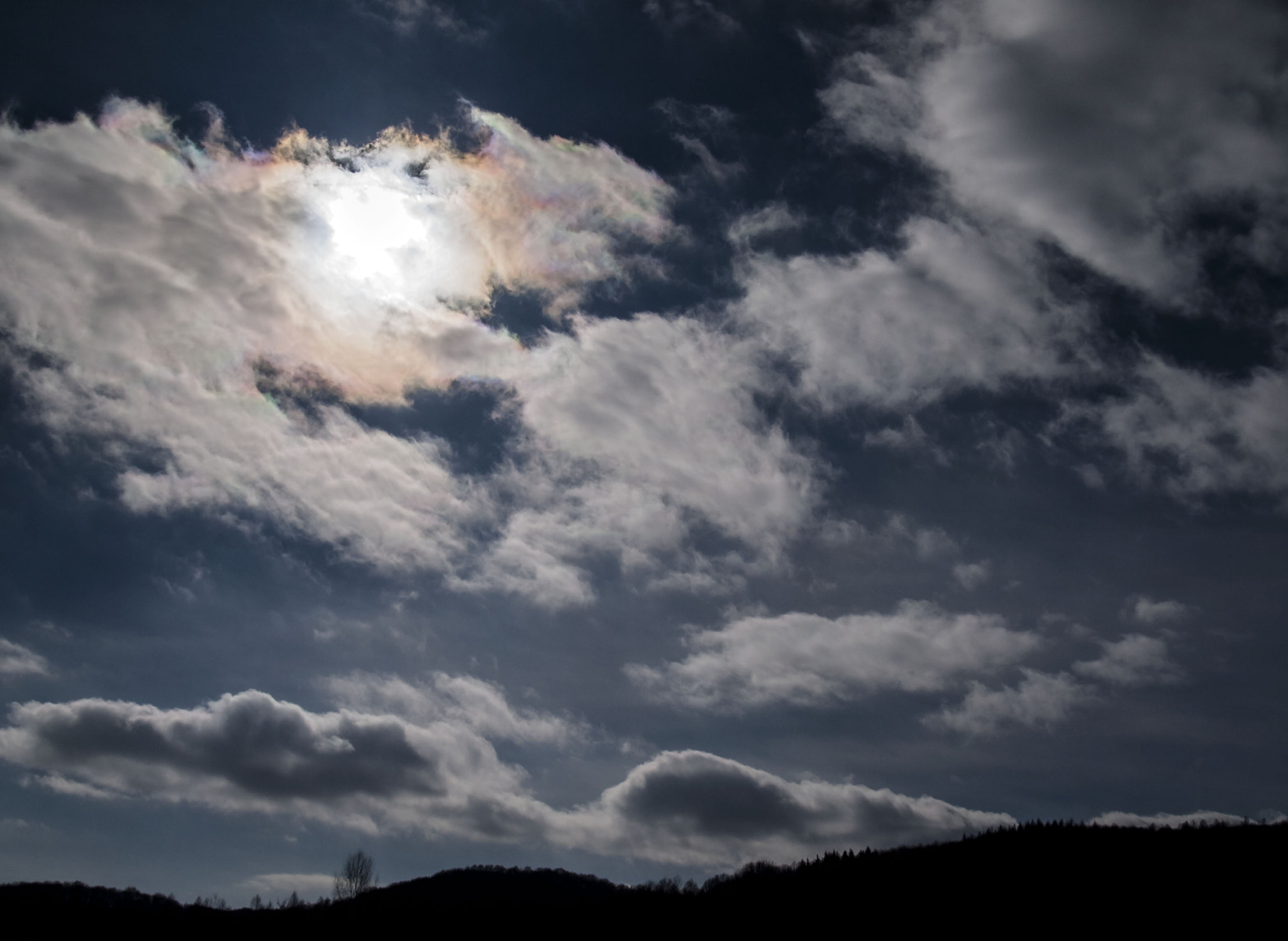 Olympus E-330 (EVOLT E-330) sample photo. Sunflare photography