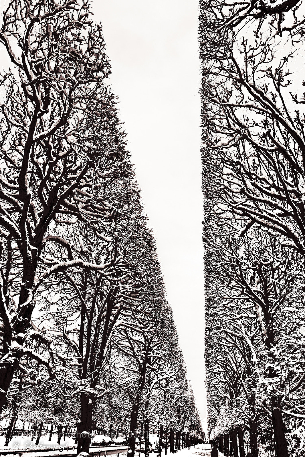 Canon EOS 600D (Rebel EOS T3i / EOS Kiss X5) sample photo. Snow is white photography