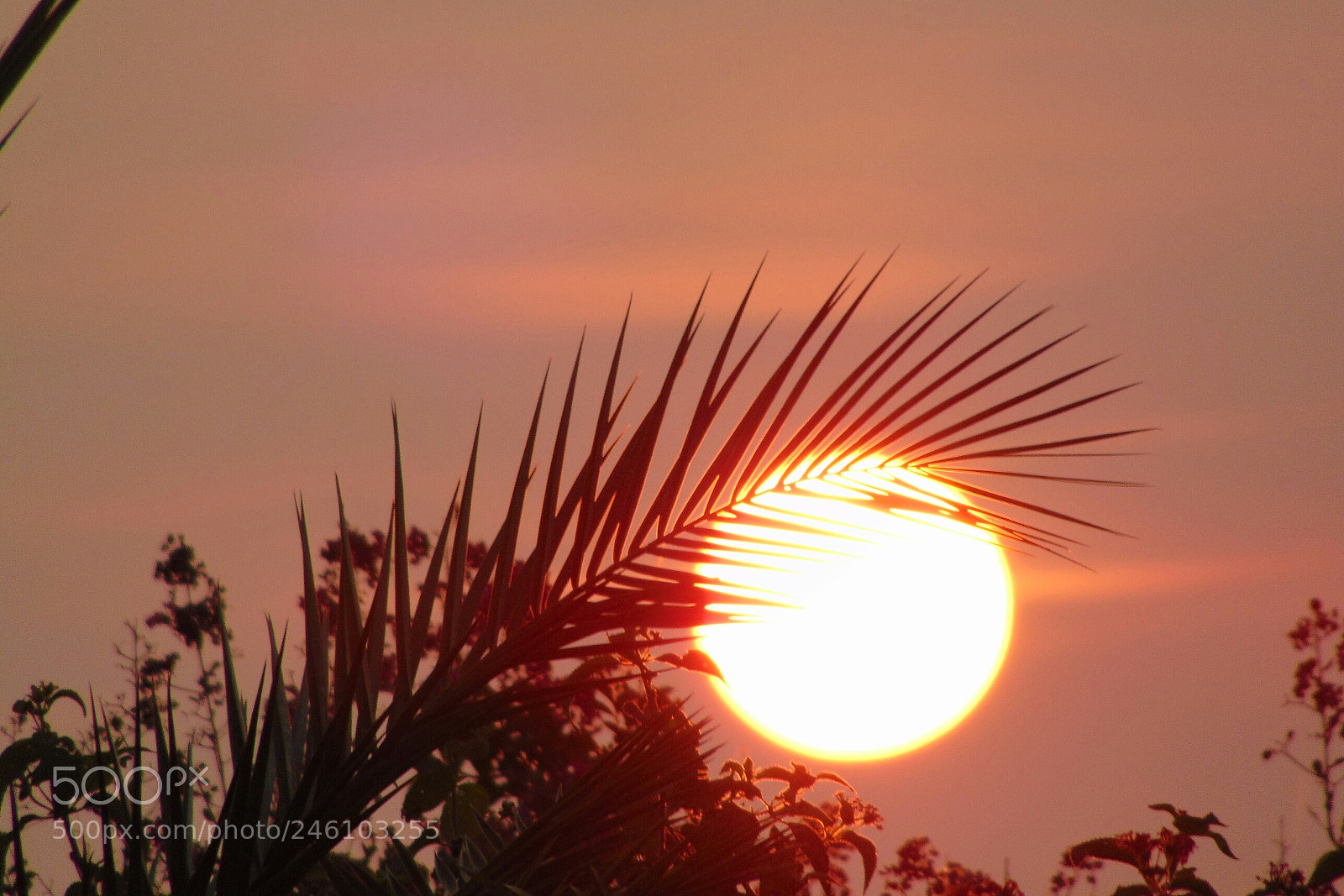 Sony Cyber-shot DSC-H300 sample photo. Rising sun photography