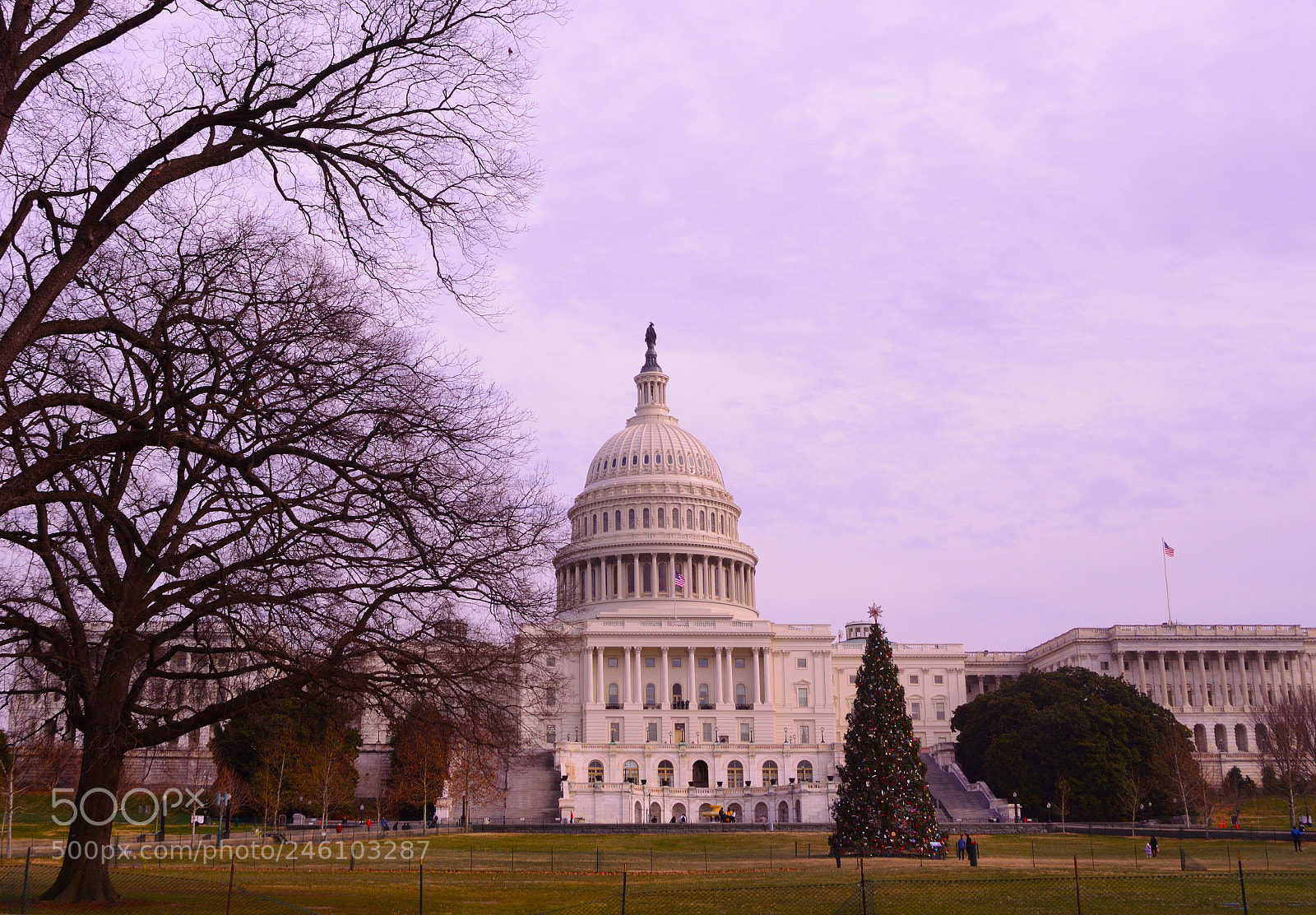 Nikon D3200 sample photo. Washington d.c. photography