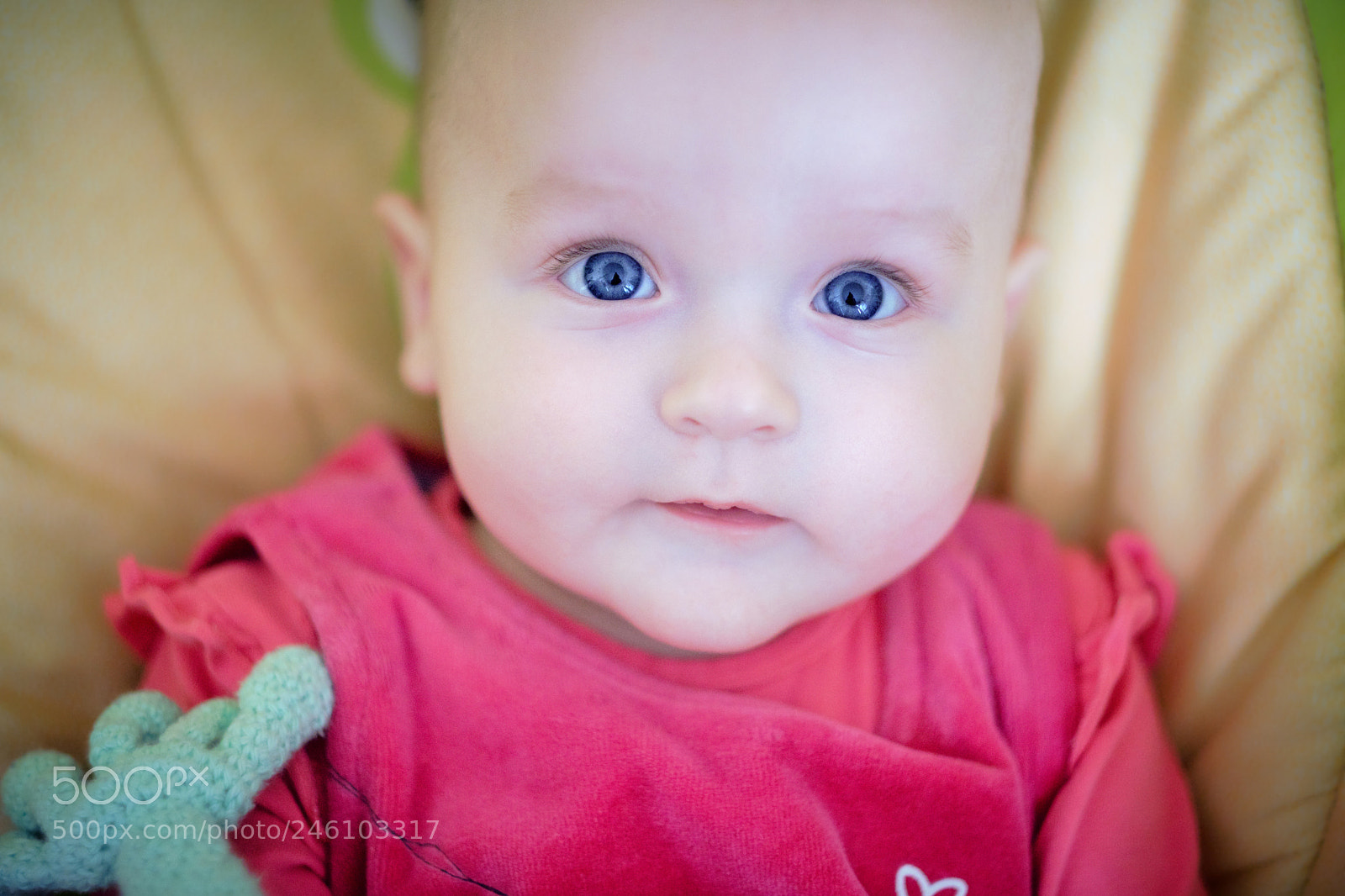 Fujifilm X-T20 sample photo. Behind blue eyes photography