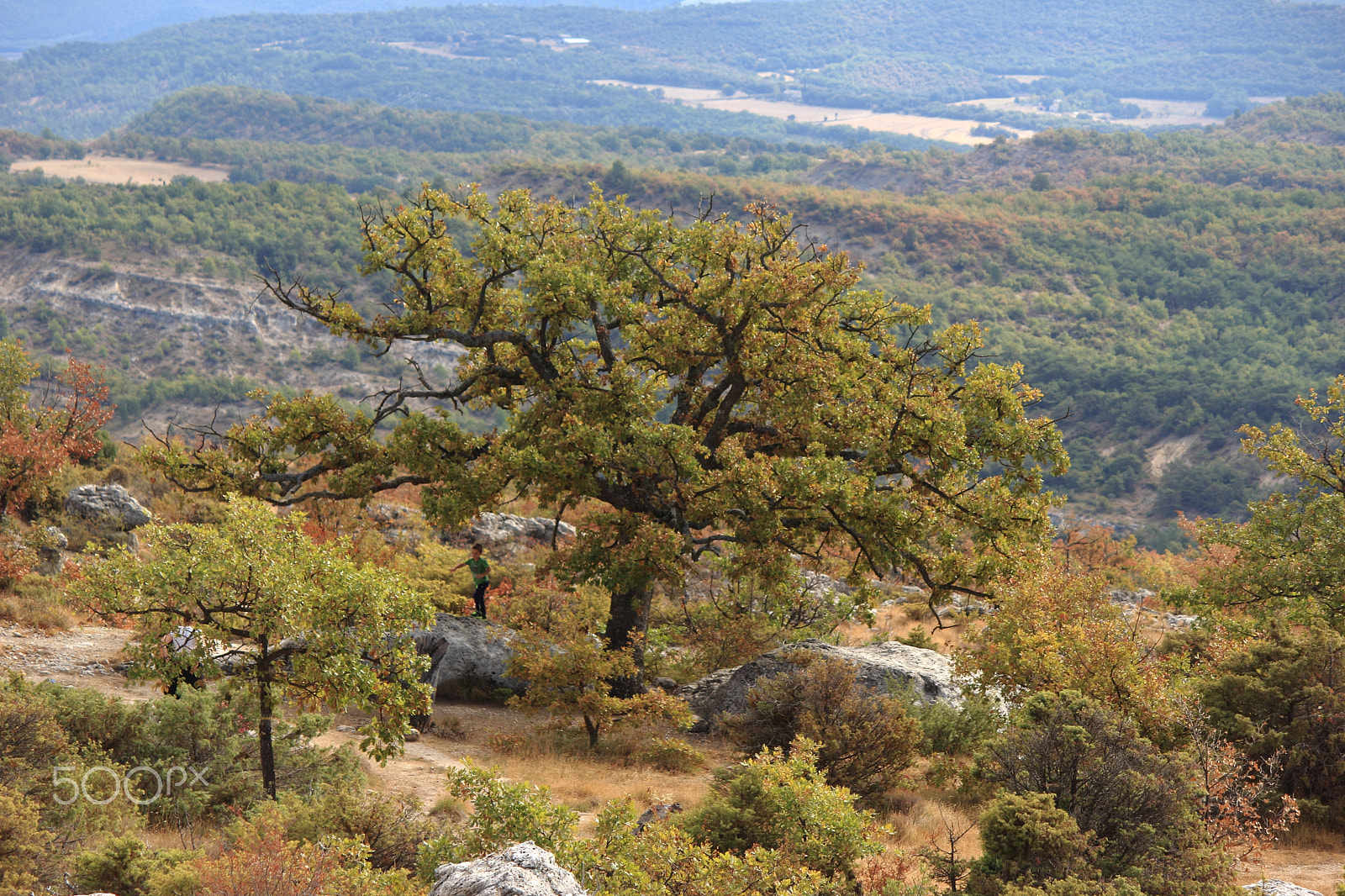 Canon EF-S 55-250mm F4-5.6 IS II sample photo. Les mourres forcalquier provence photography