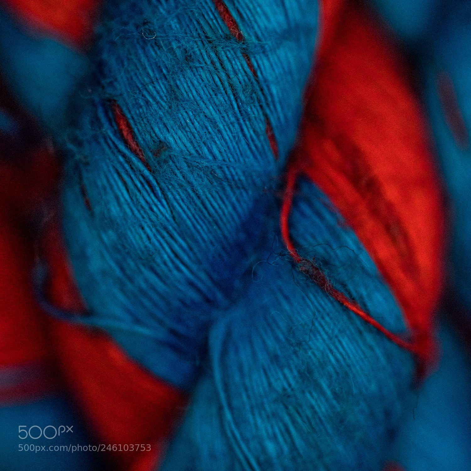 Sony a7R II sample photo. Textures photography