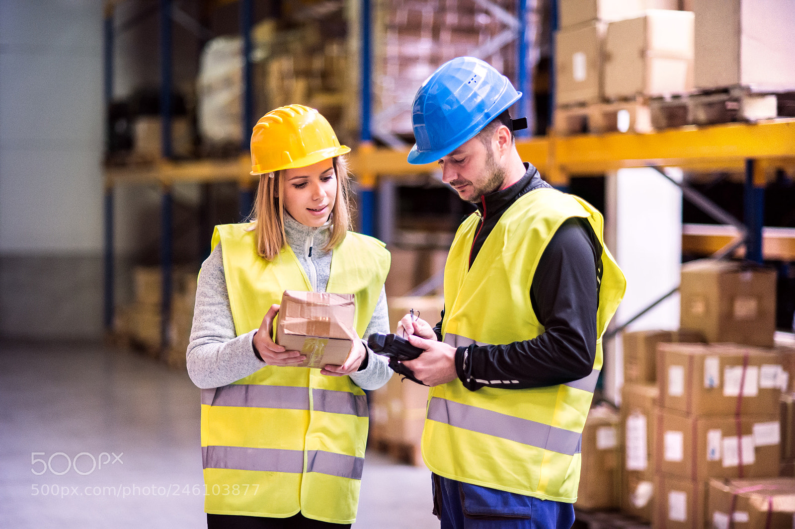 Nikon D4S sample photo. Young warehouse workers working photography