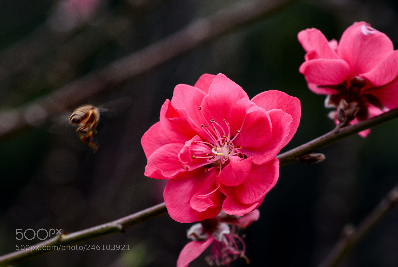 Nikon D7100 sample photo. Untitled photography