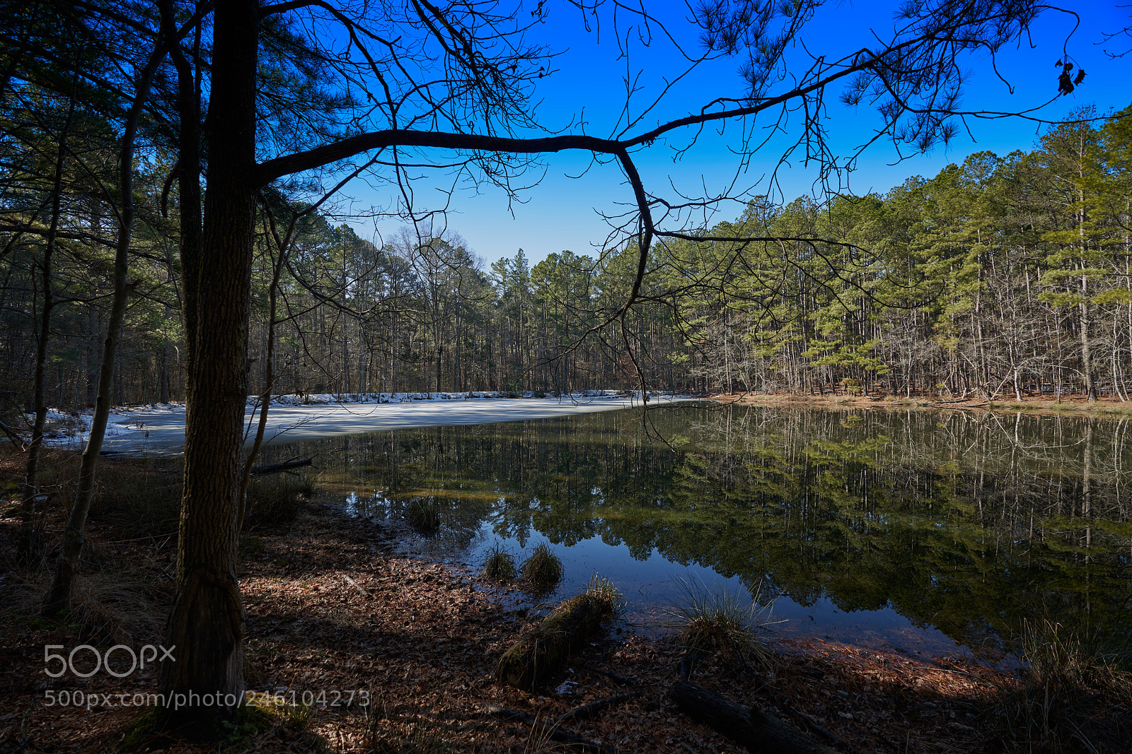 Sony a7R III sample photo. Jordan lak photography