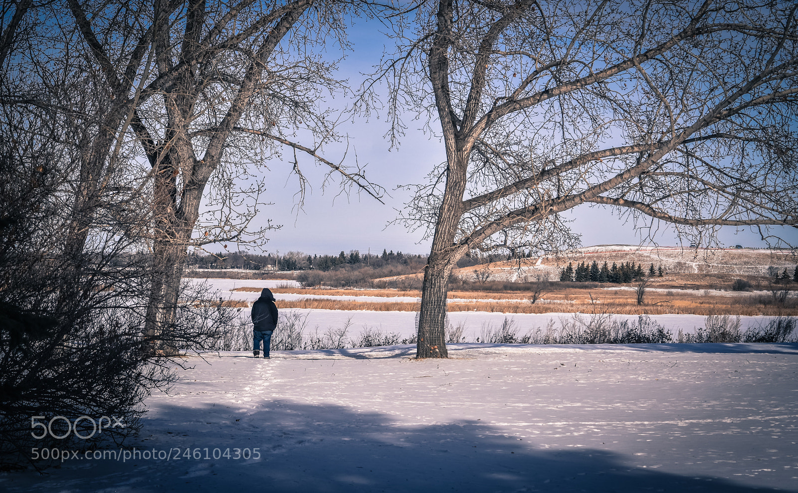 Nikon D5500 sample photo. Nature and me-1 photography