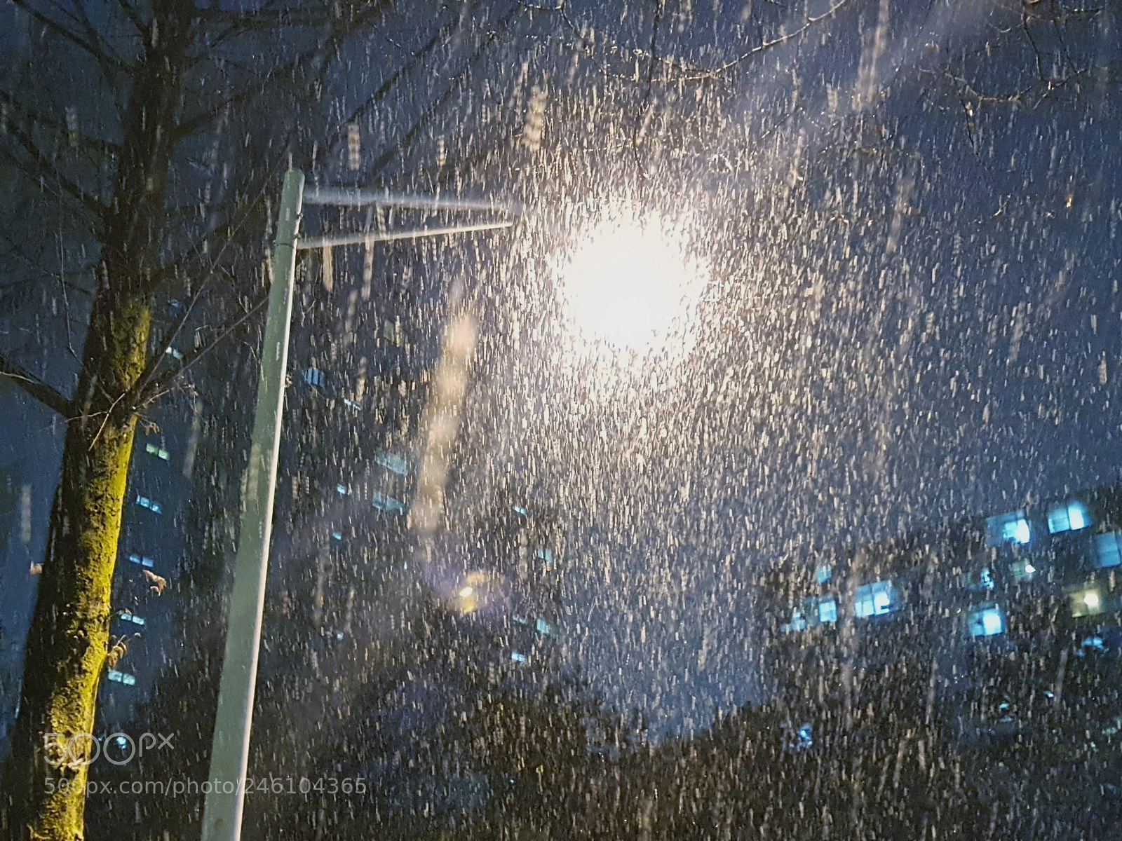 Samsung Galaxy S8 sample photo. Untitled photography
