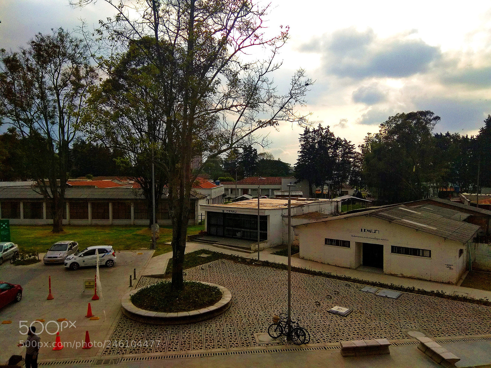 Xiaomi Redmi Note 4 sample photo. Above. photography