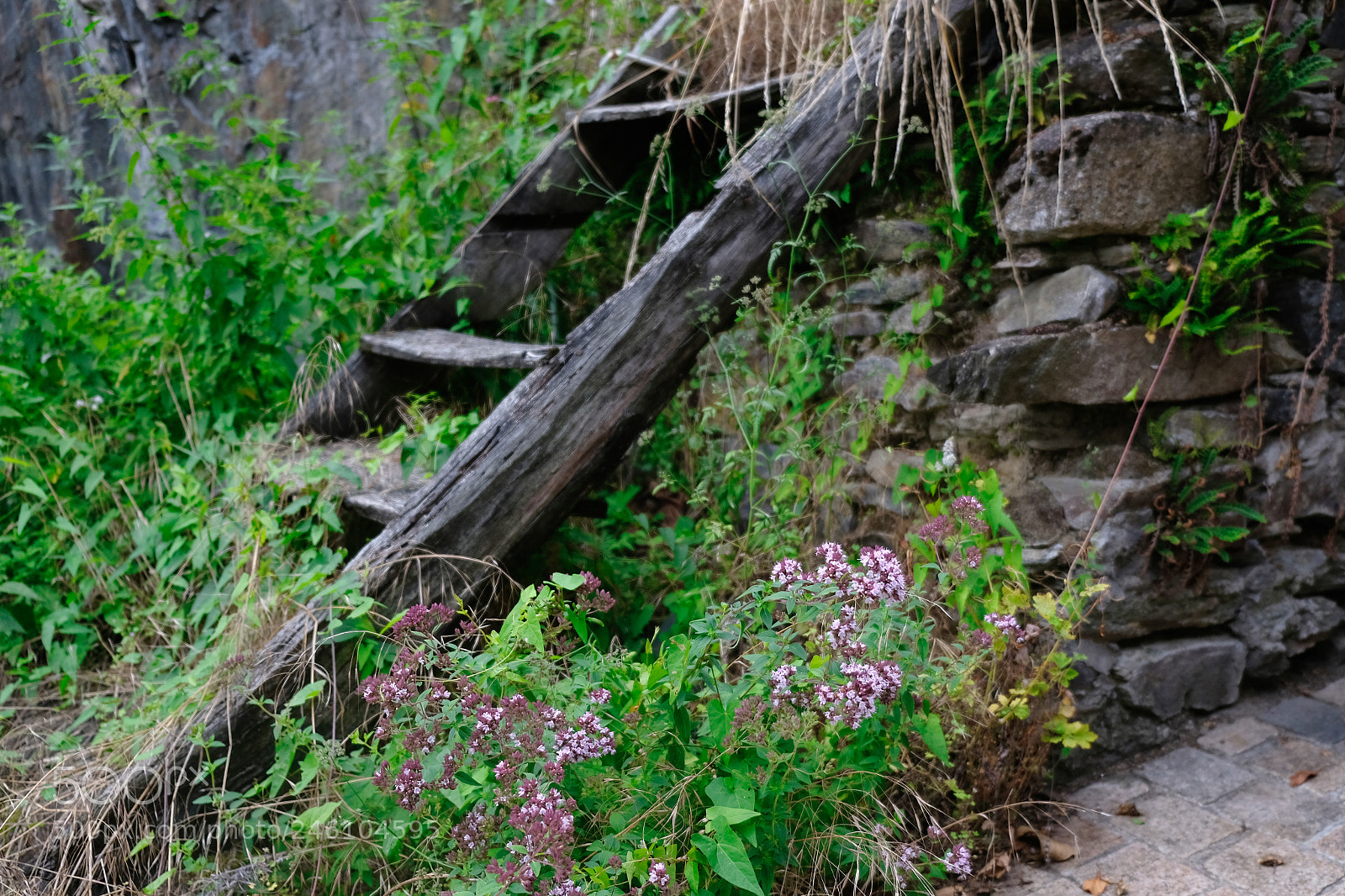 Fujifilm X-Pro2 sample photo. Stairs photography
