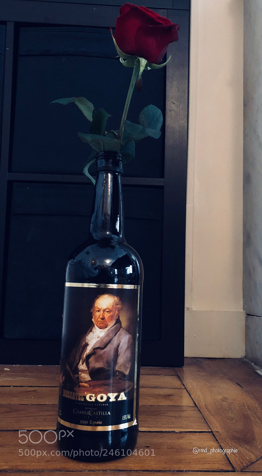 Apple iPhone 8 Plus sample photo. Untitled photography