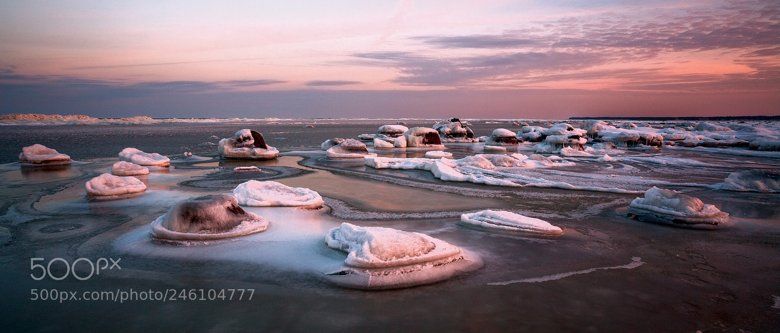 Canon EOS-1Ds Mark II sample photo. Yx photography