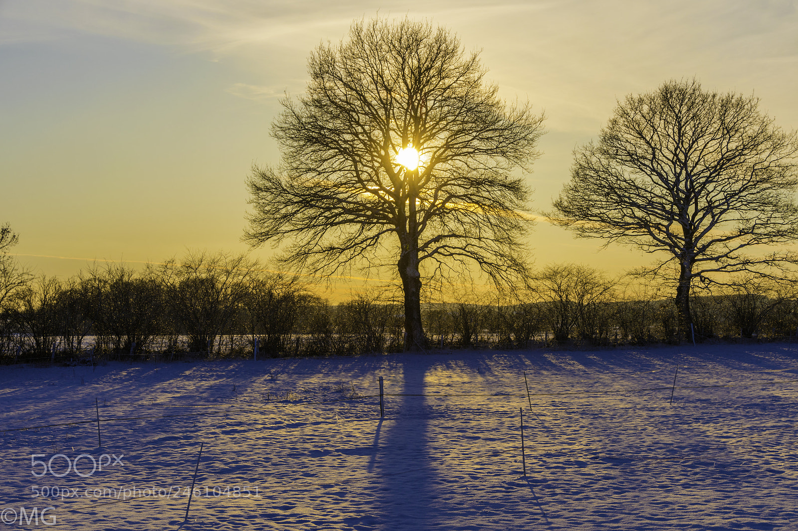 Nikon D500 sample photo. Wintersunset photography