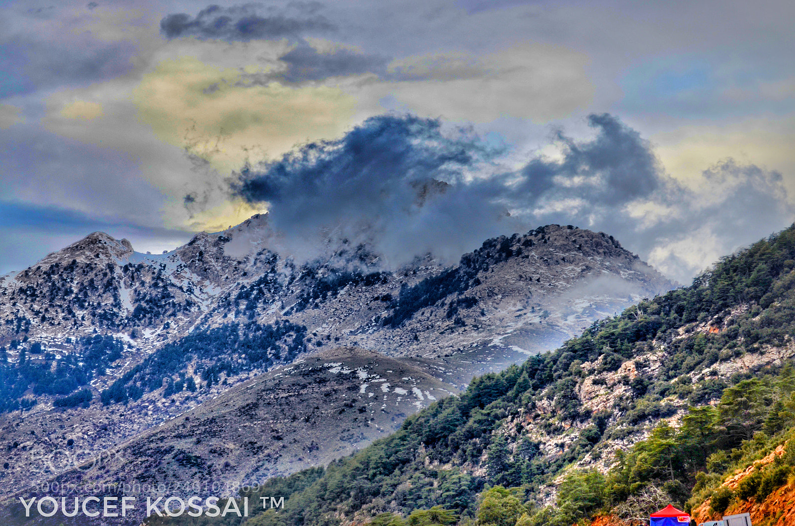Nikon D5100 sample photo. Untitled photography