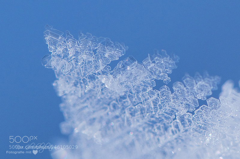Canon EOS 5D sample photo. Ice crystal photography