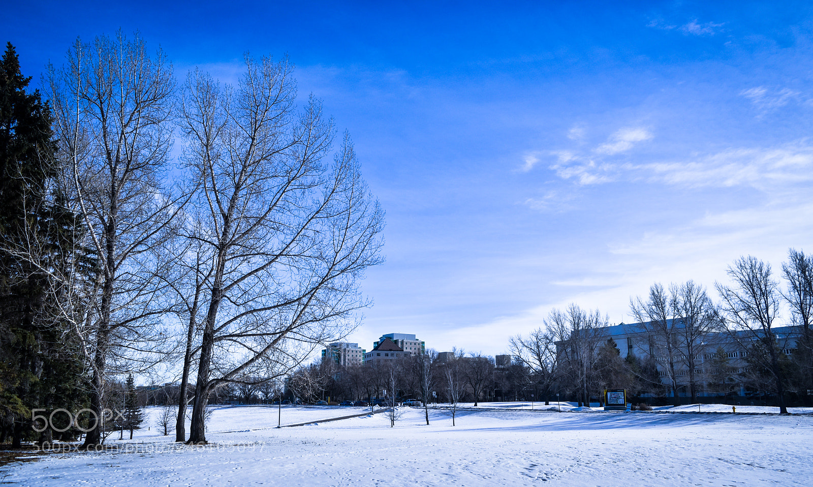 Nikon D5500 sample photo. No one here photography