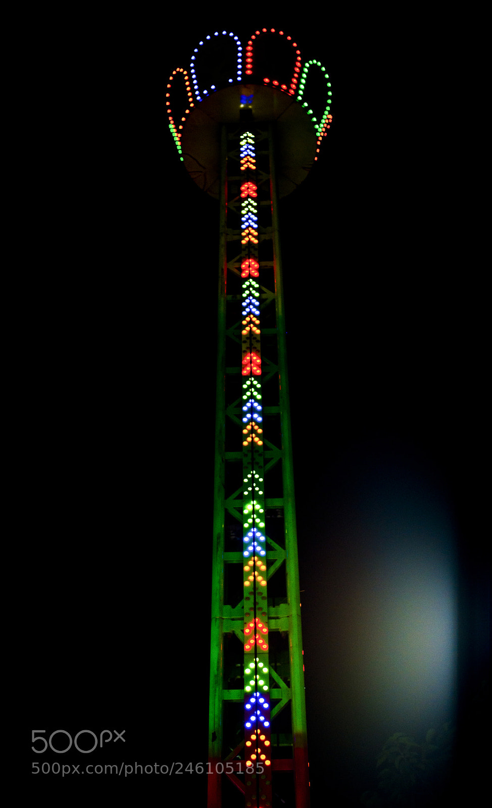 Nikon D610 sample photo. F o photography