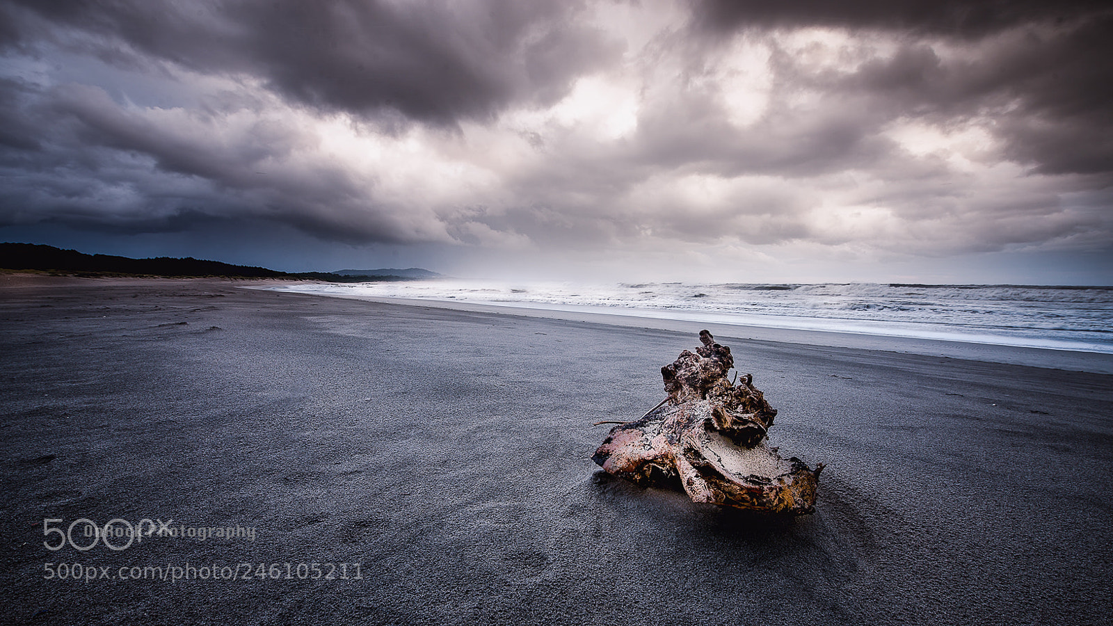 Nikon D800 sample photo. Seascape photography