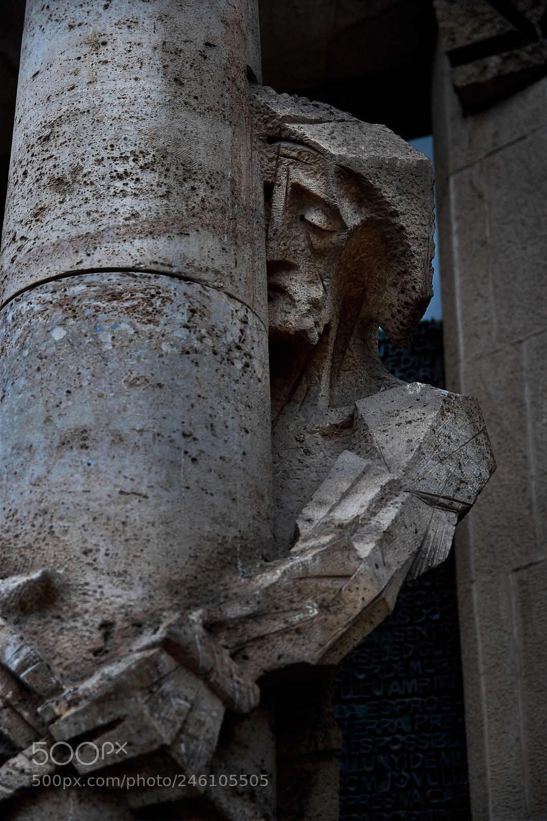 Nikon D7200 sample photo. 40050608422.jpg photography
