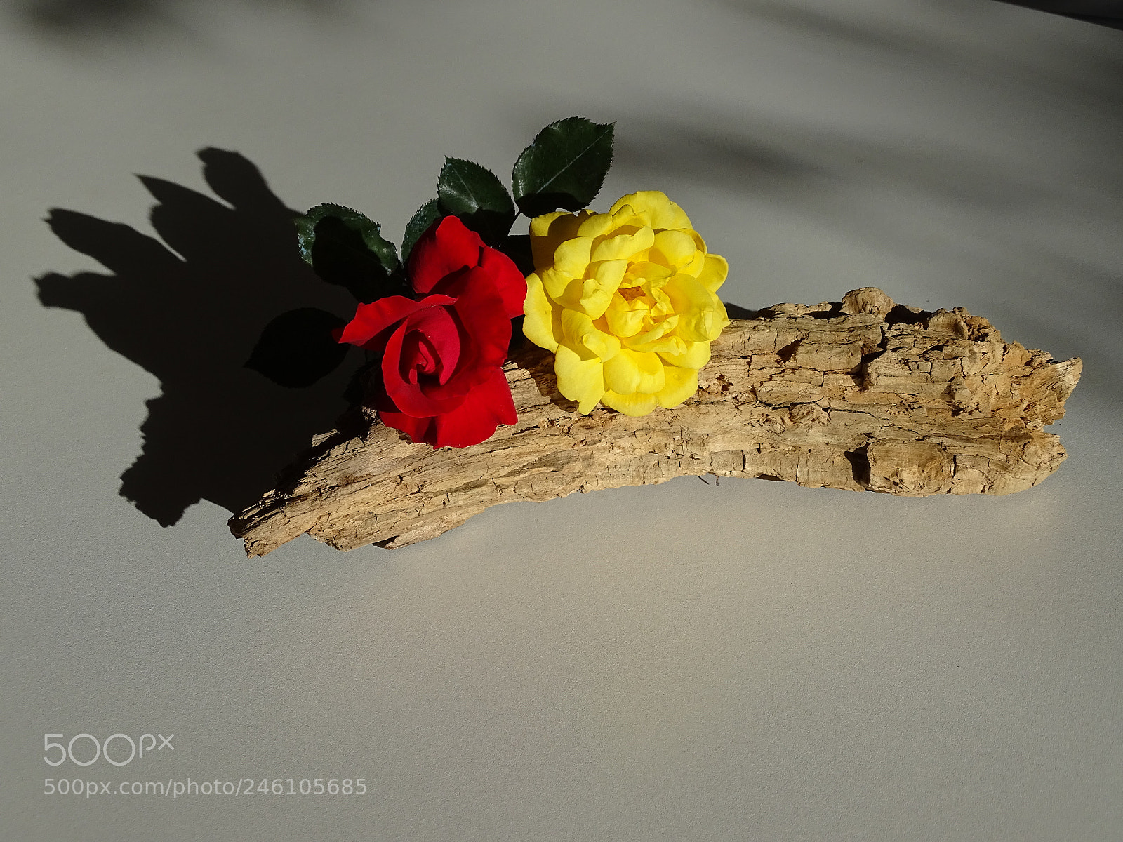 Sony Cyber-shot DSC-HX400V sample photo. Saint valentin photography