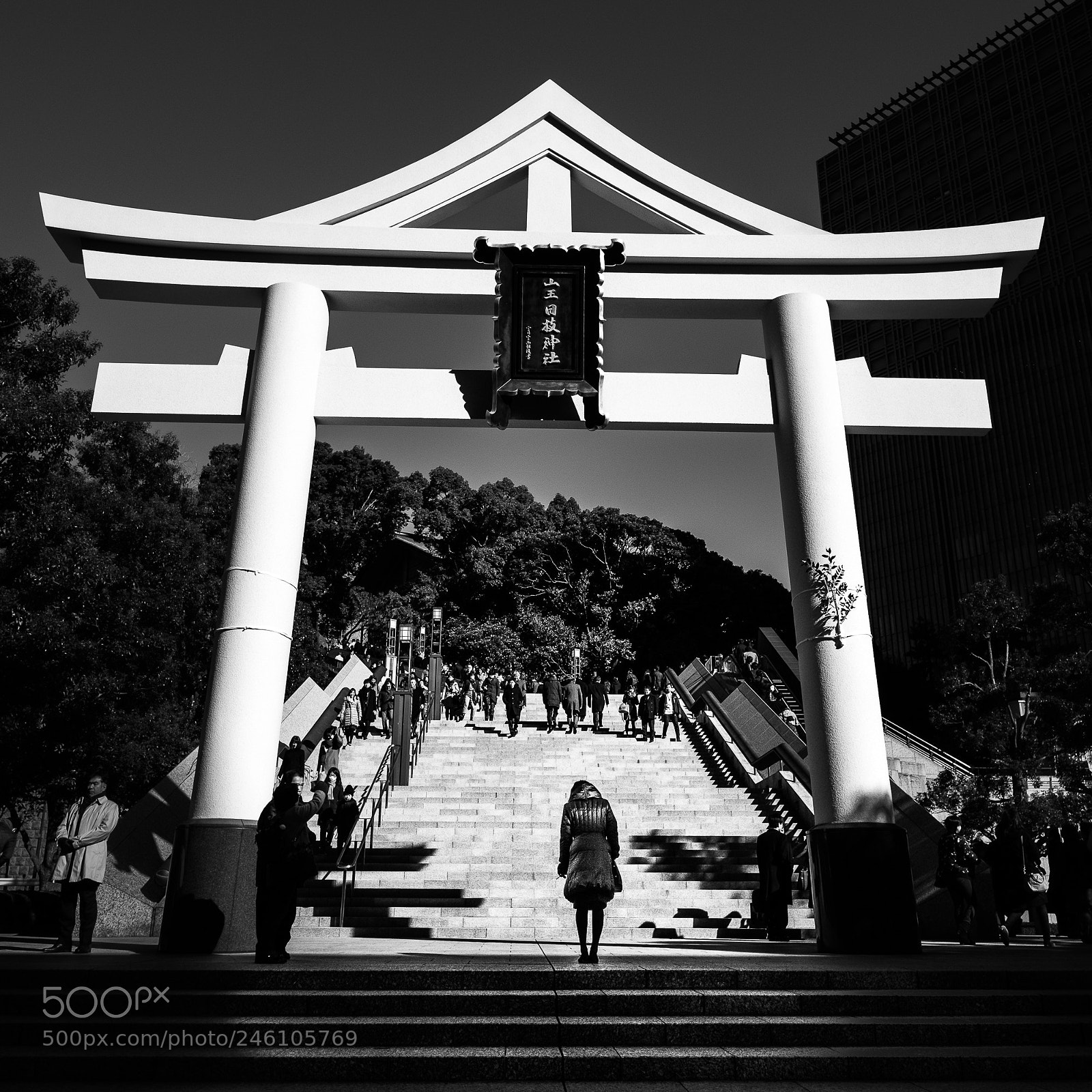 Fujifilm X-Pro2 sample photo. The bow - tokyo photography