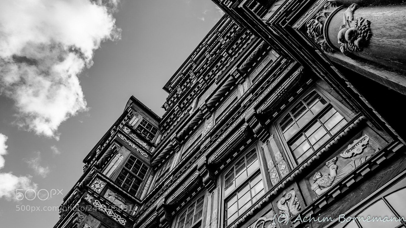 Sony SLT-A68 sample photo. Looking up... photography