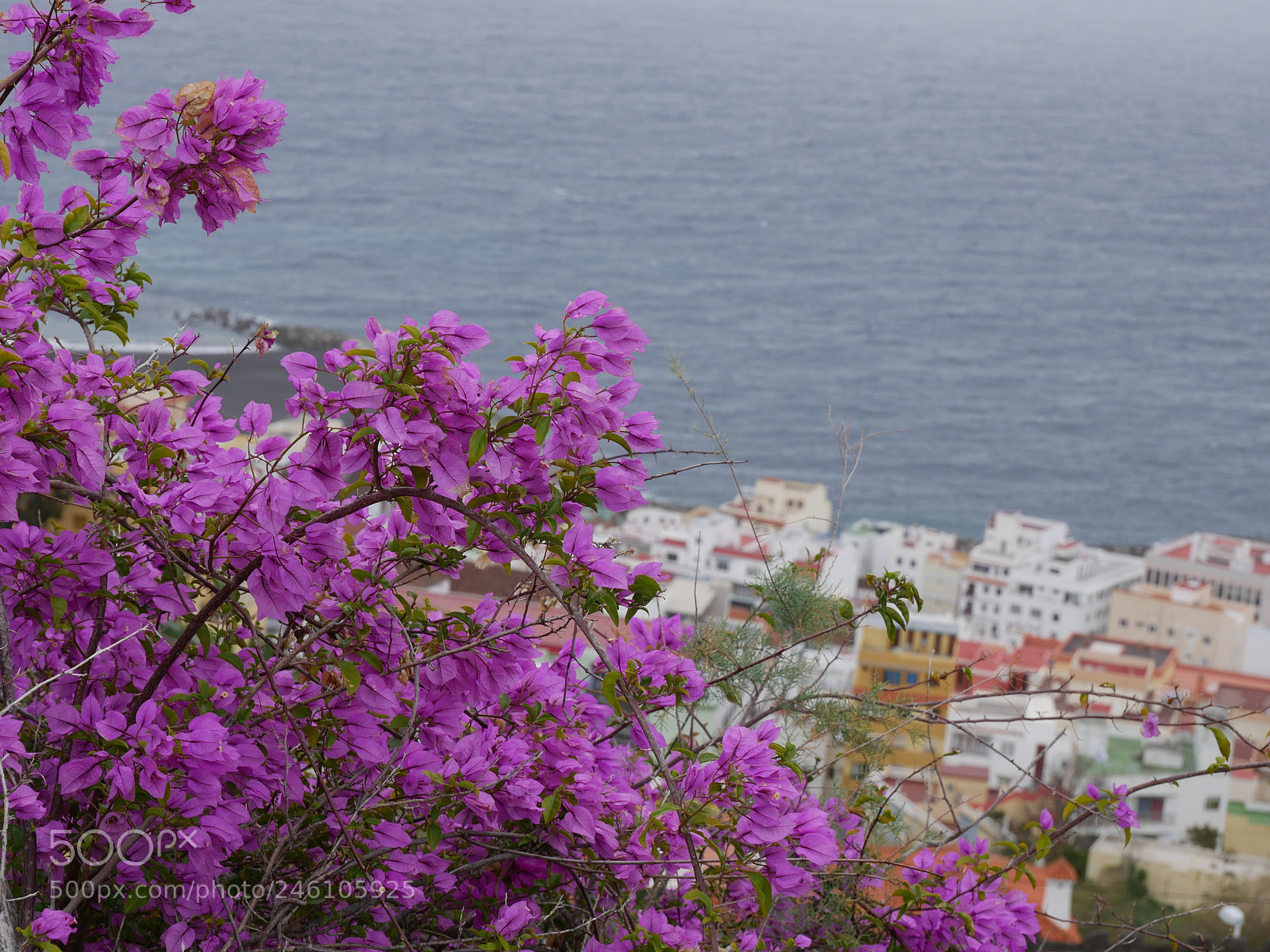 Panasonic DMC-G70 sample photo. Santa cruz de la photography