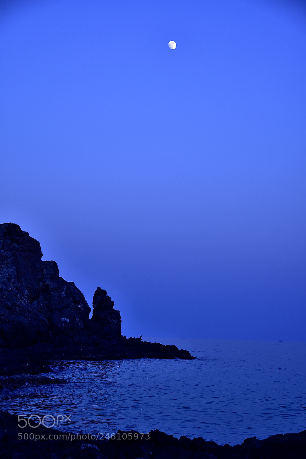 Nikon AF-S Nikkor 24-120mm F4G ED VR sample photo. Moonlight photography