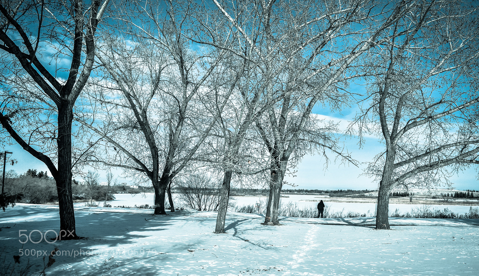Nikon D5500 sample photo. Nature and me-2 photography