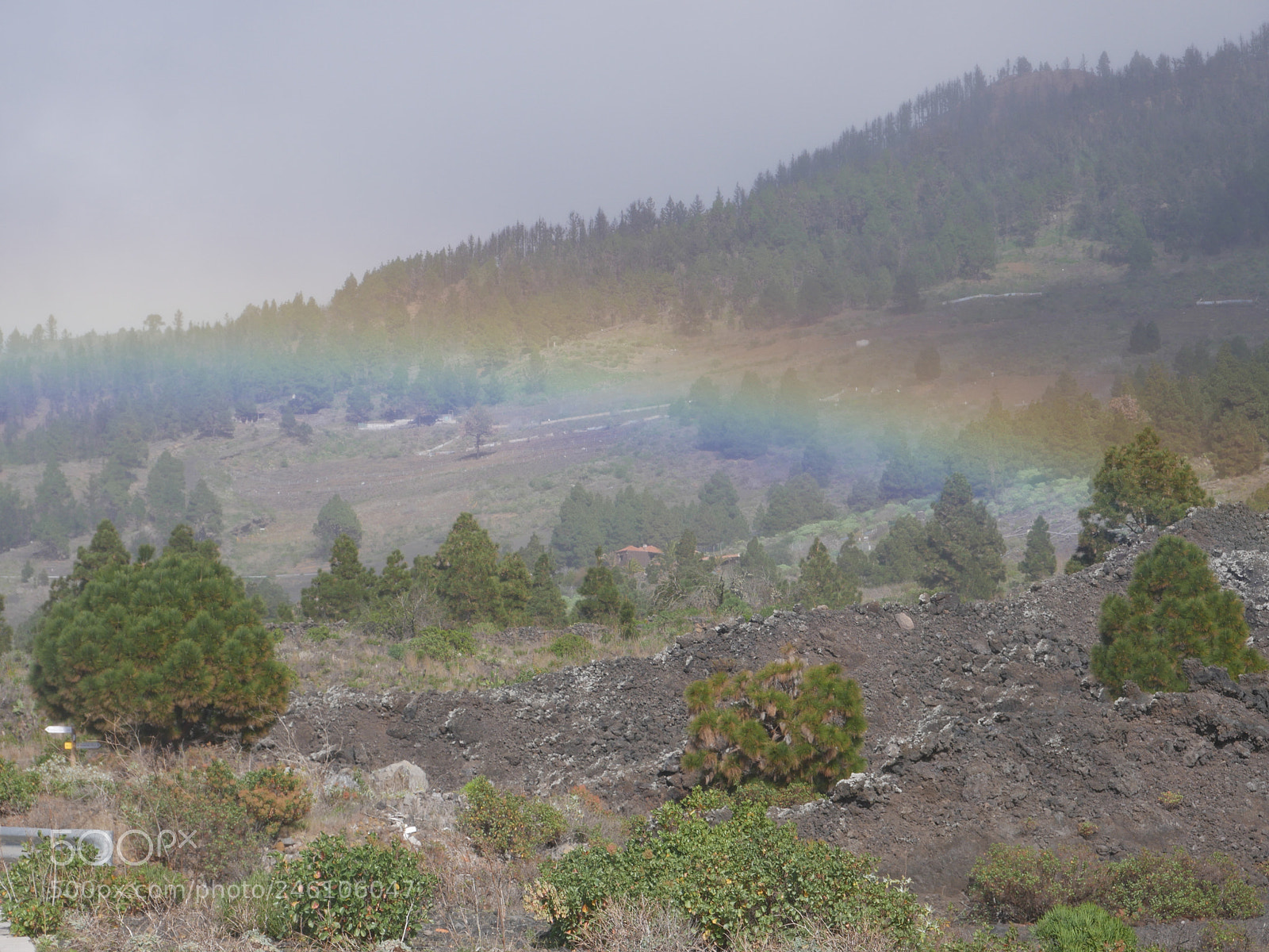 Panasonic DMC-G70 sample photo. Regenbogen photography