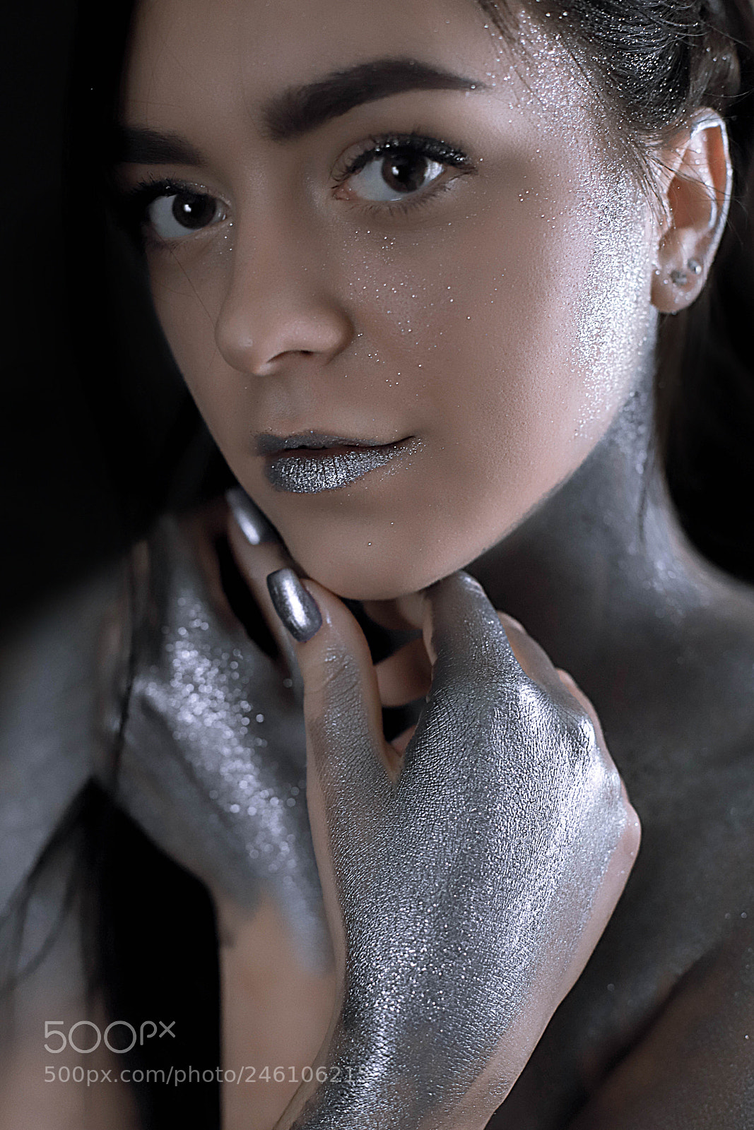 Canon EOS 6D Mark II sample photo. Silver photography